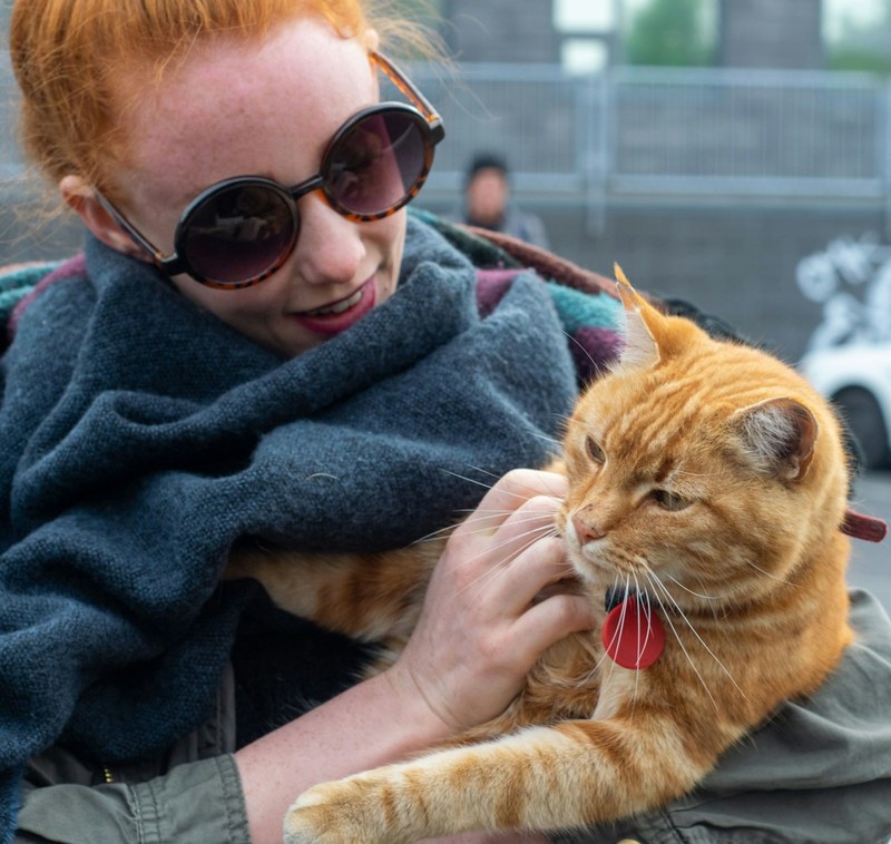 Caitlyn, a red-haired photographer with sunglasses, smiling while holding a friendly orange tabby cat